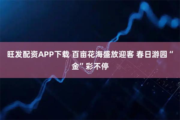 旺发配资APP下载 百亩花海盛放迎客 春日游园“金”彩不停