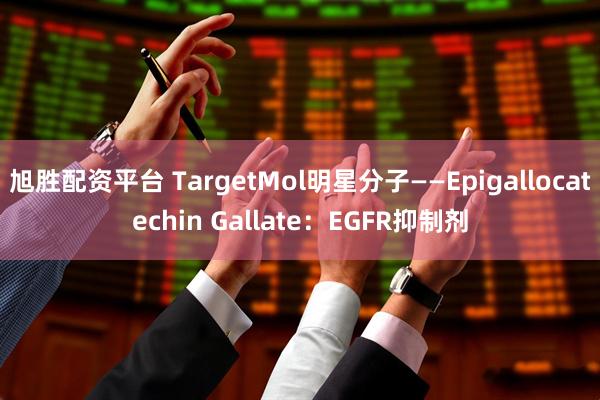 旭胜配资平台 TargetMol明星分子——Epigallocatechin Gallate:EGFR抑制剂