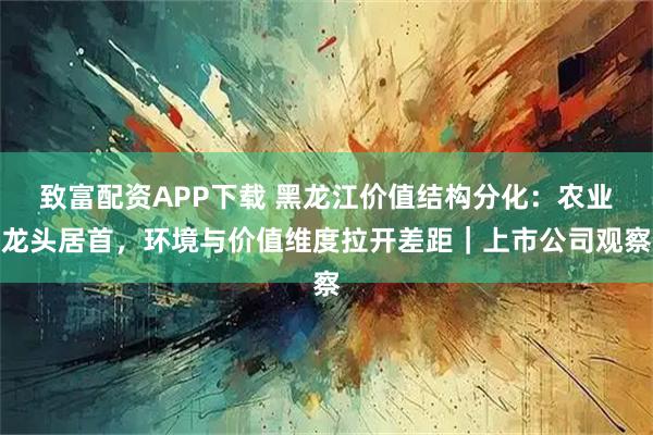 致富配资APP下载 黑龙江价值结构分化：农业龙头居首，环境与价值维度拉开差距｜上市公司观察